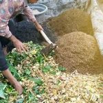 Manfaat Kompos Dari Sampah Organik