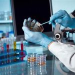 Peran Mikrobiologi Dalam Penyimpanan