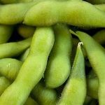 Kacang Edamame Kaya Protein