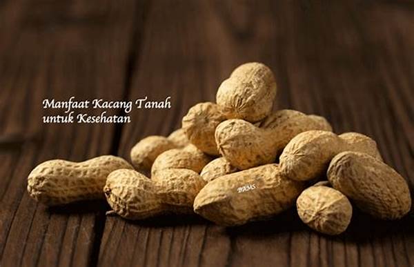 Manfaat Kacang Untuk Kesehatan