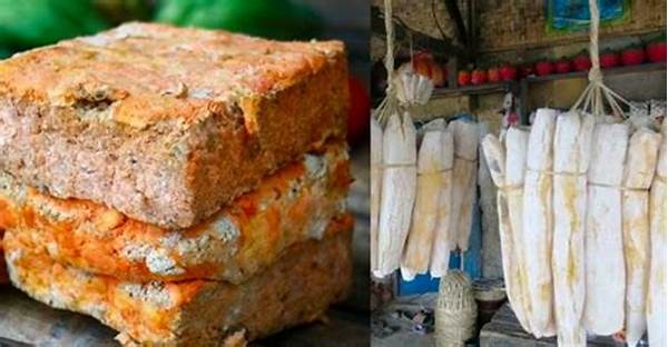 Proses Fermentasi Makanan Tradisional