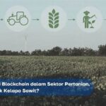 Implementasi Blockchain Di Sektor Diplomatik