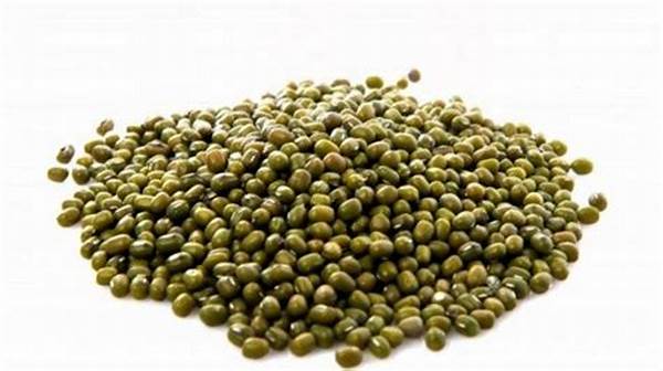 Manfaat Kacang Untuk Tumbuh Kembang