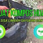 Manfaat Kompos Dari Limbah Sayuran