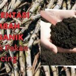 Metode Fermentasi Limbah Makanan Organik