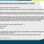 Paparan Medan Elektromagnetik Dan Risiko Kesehatan