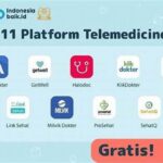 Penggunaan Aplikasi Telemedicine Modern