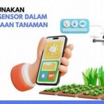 Penggunaan Sensor Dalam Manajemen Hama