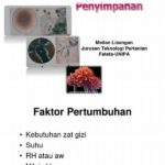 Faktor Mikrobiologi Pada Kualitas Penyimpanan