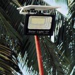 Panduan Perawatan Rutin Lampu Neon