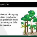 Peran Agroforestri Dalam Keberlanjutan