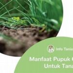 Usaha Peningkatan Kualitas Tanah Alami