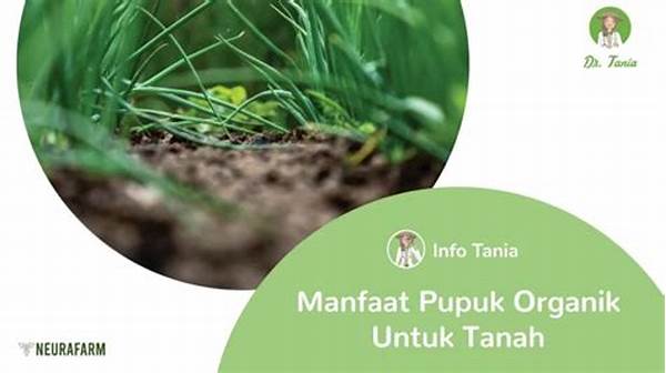 Usaha Peningkatan Kualitas Tanah Alami