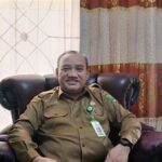 Alat Kesehatan Portabel Untuk Diagnosa