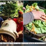Dampak Positif Mpasi Organik
