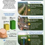 Inovasi Untuk Peningkatan Produktivitas