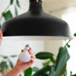 Manfaat Penggunaan Lampu Ccfl Ekonomis