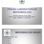 Peran Mikrobiologi Dalam Teknologi Penyimpanan