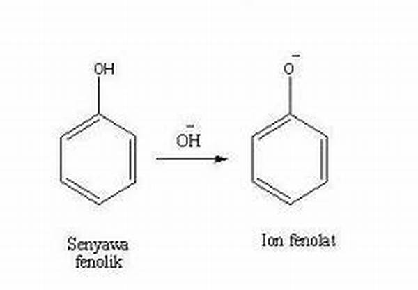Efek Fermentasi Pada Senyawa Fenolik
