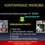 Kontaminasi Mikroba Saat Penyimpanan Bahan