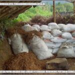 Manfaat Pupuk Alami Dari Limbah