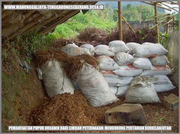 Manfaat Pupuk Alami Dari Limbah
