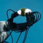 Robot Dengan Kemampuan Sentuhan