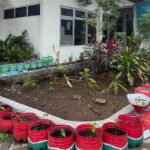 Inovasi Daur Ulang Sampah Sayuran Segar