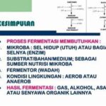 Optimalisasi Kondisi Fermentasi Enzim