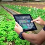 Pemrosesan Makanan Menggunakan Sensor Terbaru