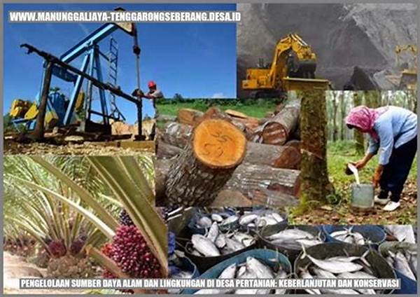 Pengelolaan Sumber Daya Dengan Otomatisasi.