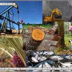 Pengelolaan Tanah Berkelanjutan Efektif