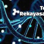 Apa Itu Rekayasa Teknologi