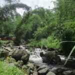 Inovasi Pengawetan Tanpa Bahan Kimia