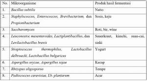 Peran Mikroorganisme Fermentasi Fenolik