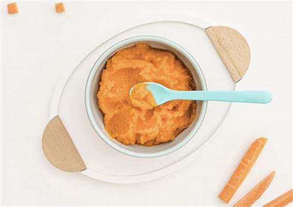 Mpasi Organik Yang Disukai Bayi