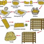 Proses Fermentasi Tingkatkan Nutrisi