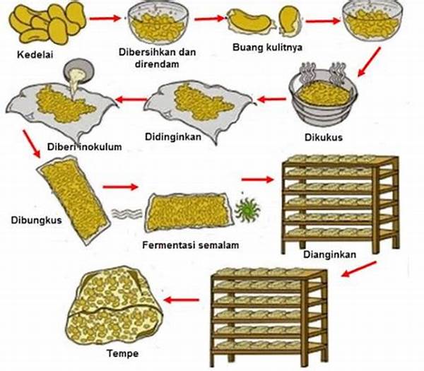 Proses Fermentasi Tingkatkan Nutrisi